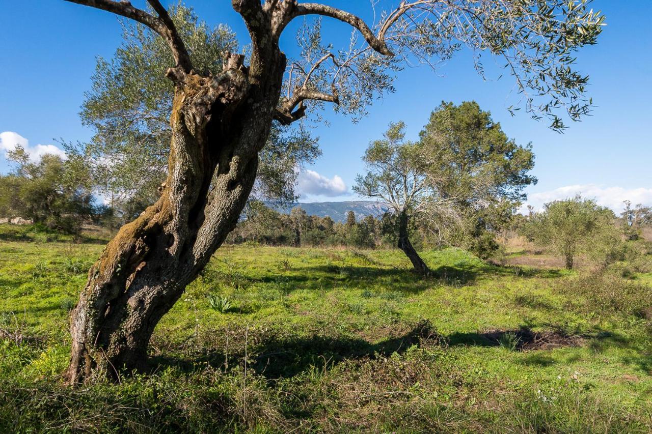 Merlyn Rooms Into The Nature, 100M From The Beach Dafnila Buitenkant foto