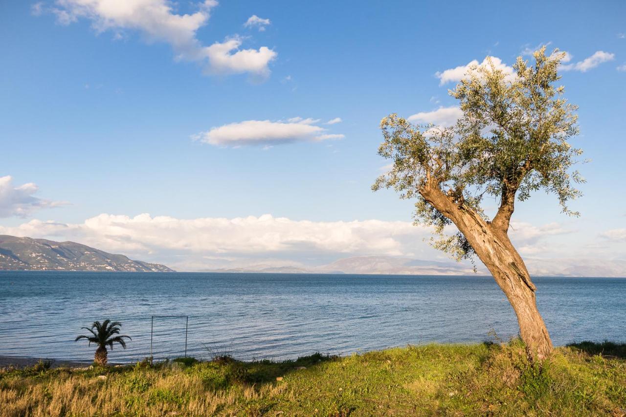 Merlyn Rooms Into The Nature, 100M From The Beach Dafnila Buitenkant foto